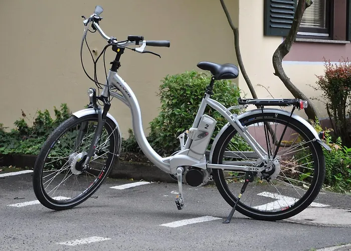 Blesius Garten Hotel 4*