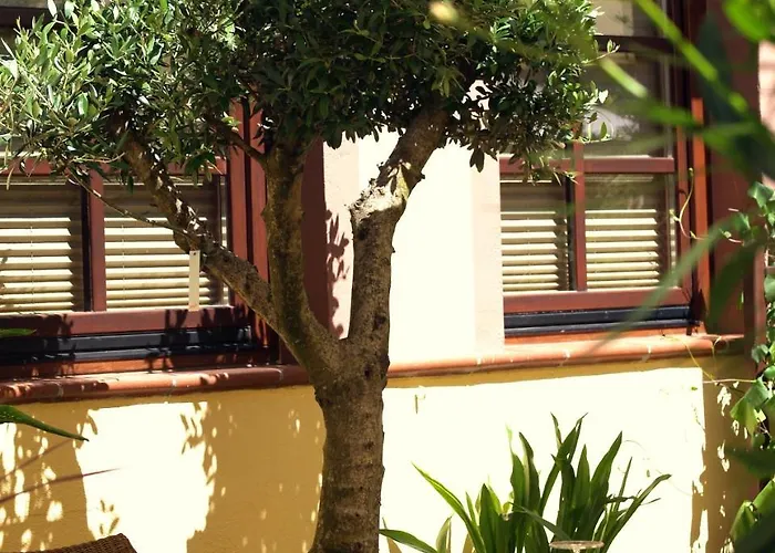 Blesius Garten Trier